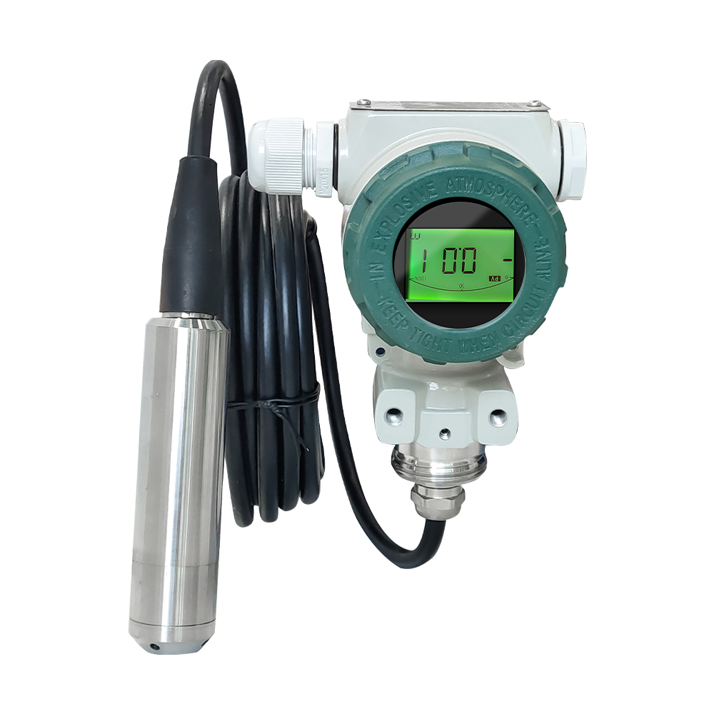 Submersible Level Gauge